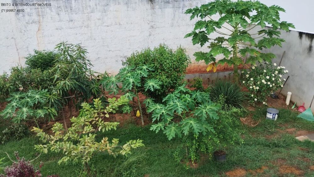 Casa, 4 quartos - Foto 14