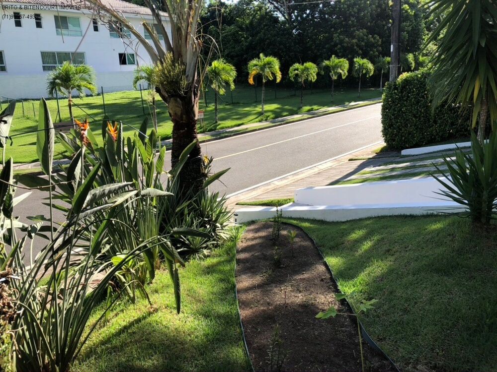 Casa, 4 quartos, 620 m² - Foto 13