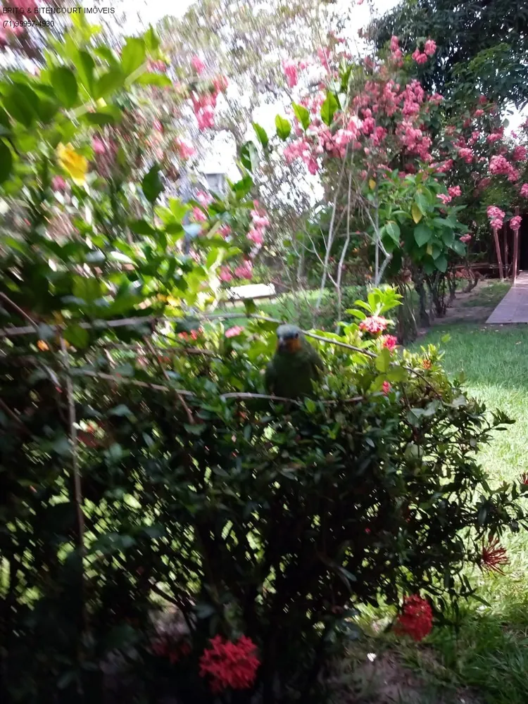 Casa, 4 quartos, 4200 m² - Foto 7