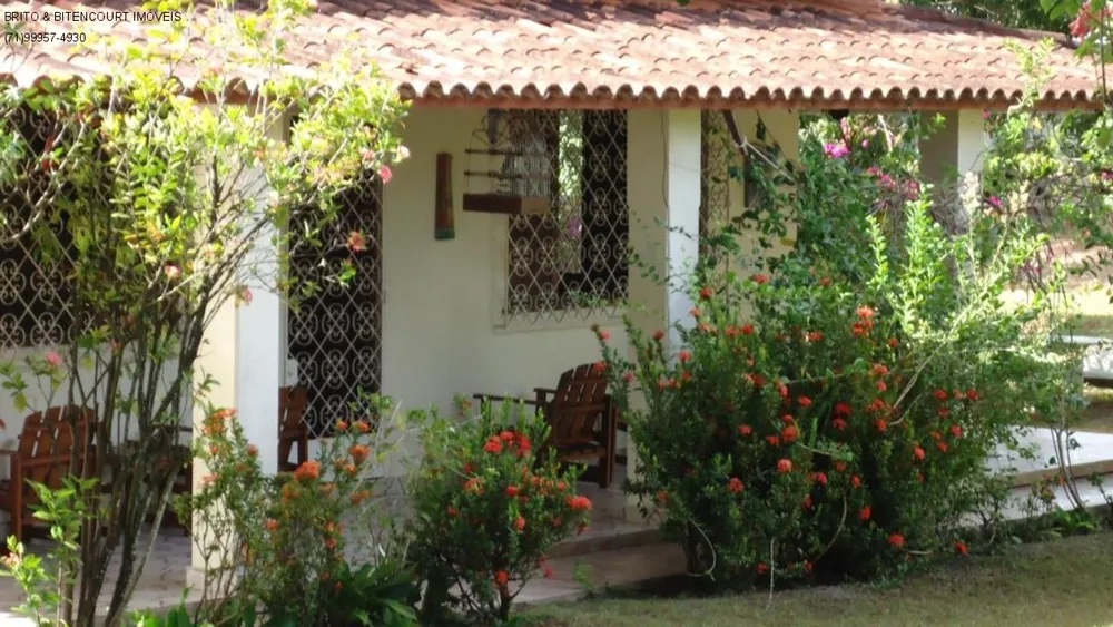 Casa, 4 quartos, 4200 m² - Foto 4