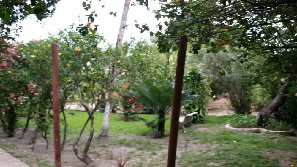 Casa, 4 quartos, 4200 m² - Foto 3