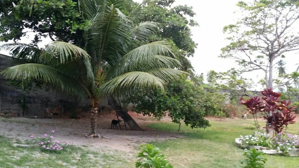 Casa, 4 quartos, 4200 m² - Foto 6