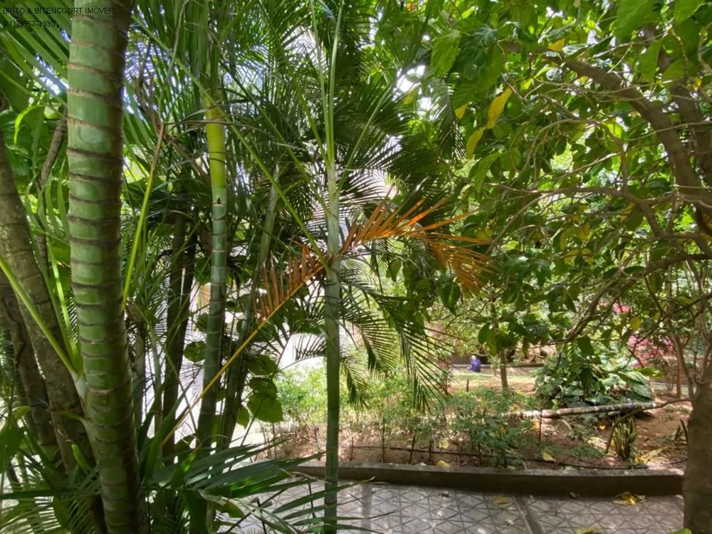 Apartamento, 4 quartos, 260 m² - Foto 21