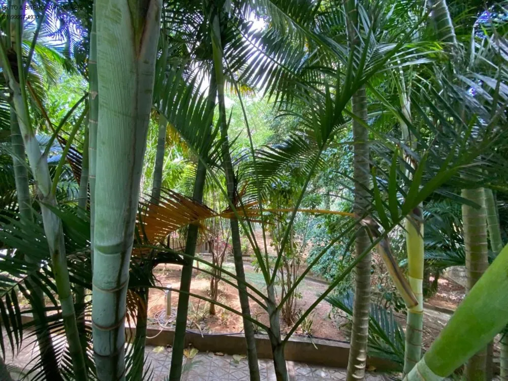 Apartamento, 4 quartos, 260 m² - Foto 32