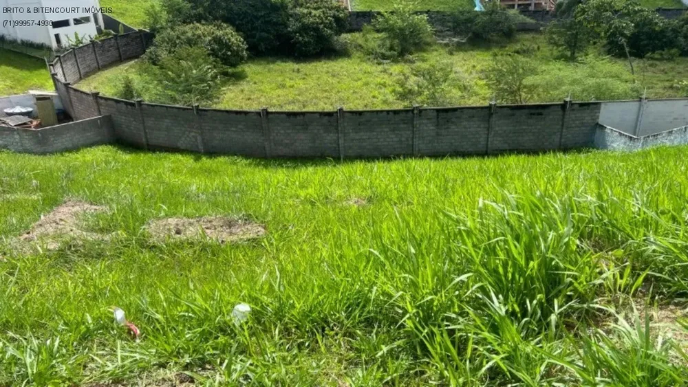 Terreno, 460 m² - Foto 3