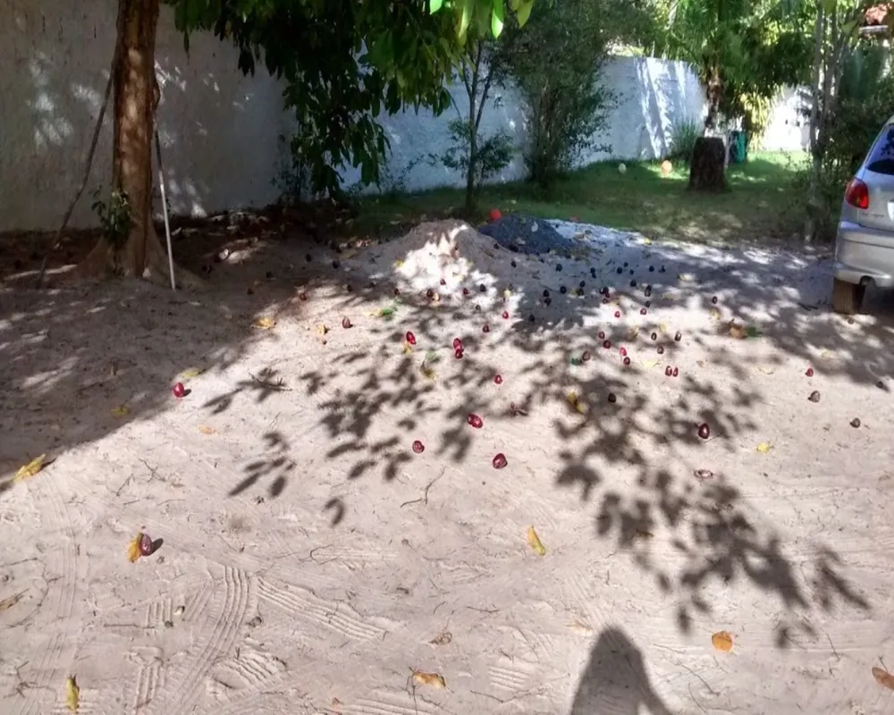 Casa, 3 quartos, 210 m² - Foto 7