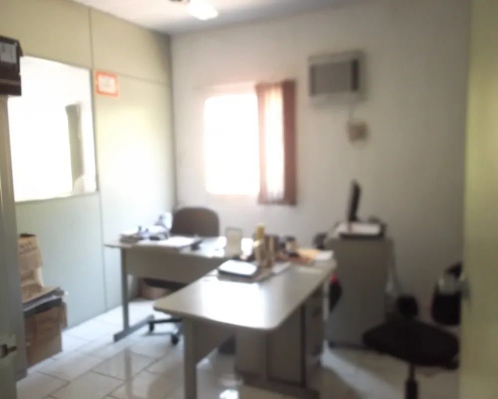 Loja-Salão, 1000 m² - Foto 11
