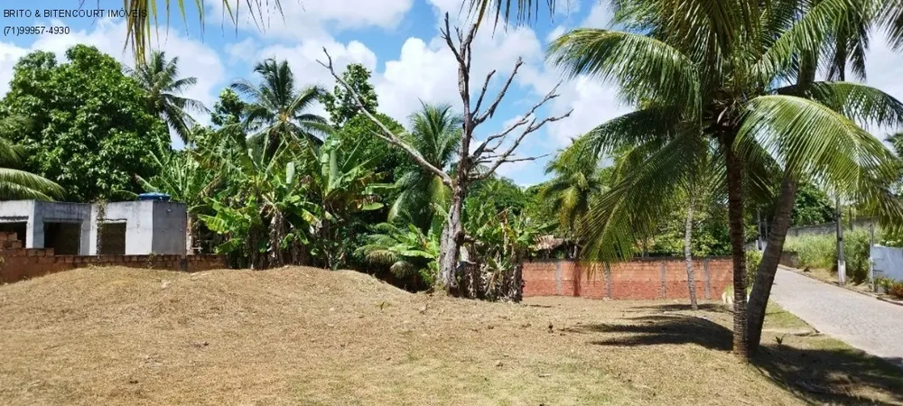 Terreno, 1440 m² - Foto 1