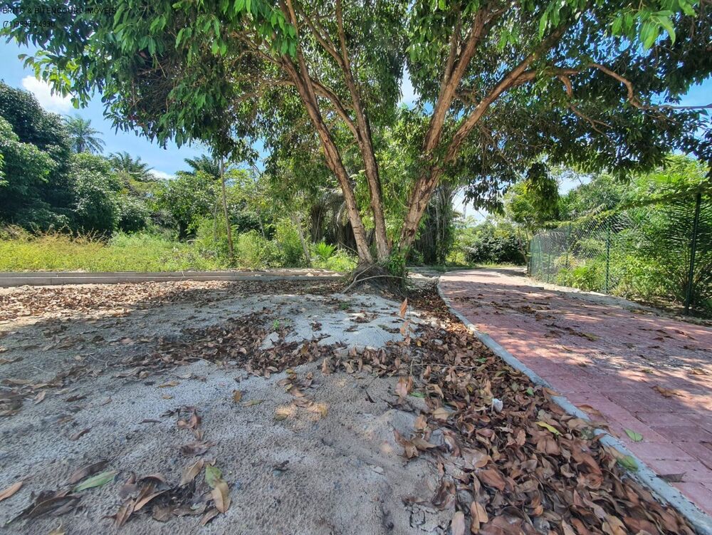 Terreno, 1000 m² - Foto 8