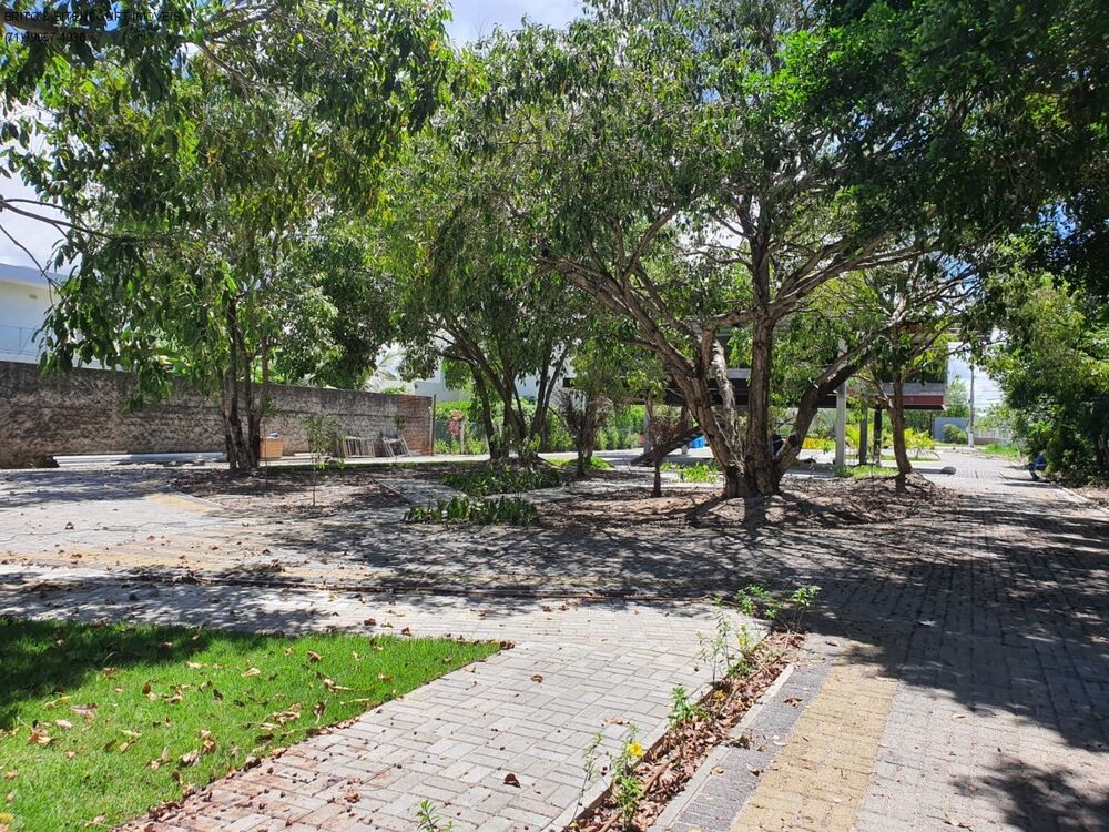 Terreno, 1000 m² - Foto 16