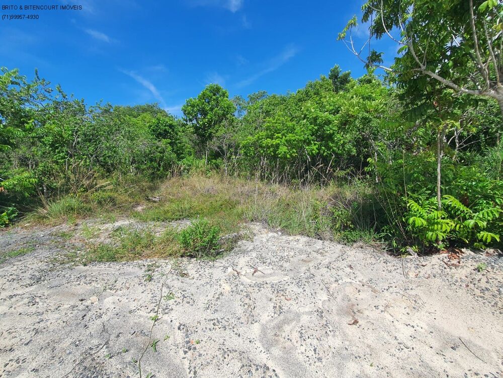 Terreno, 1000 m² - Foto 1