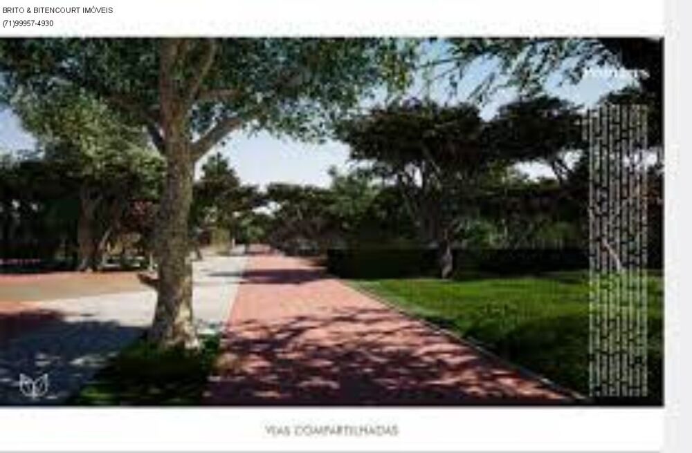 Terreno, 1000 m² - Foto 6