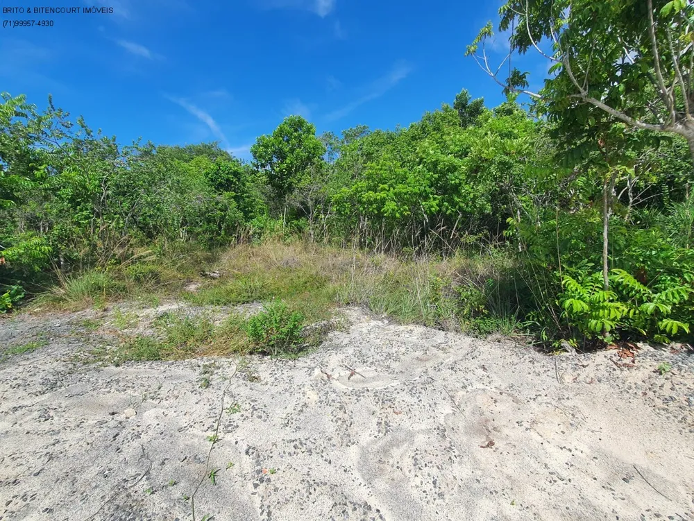 Terreno, 1000 m² - Foto 22