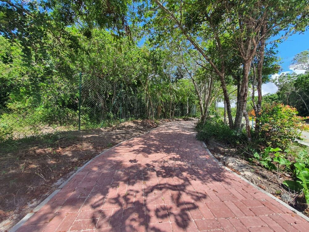 Terreno, 1000 m² - Foto 5