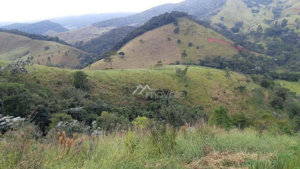 Sítio, 4 quartos, 26 hectares - Foto 9