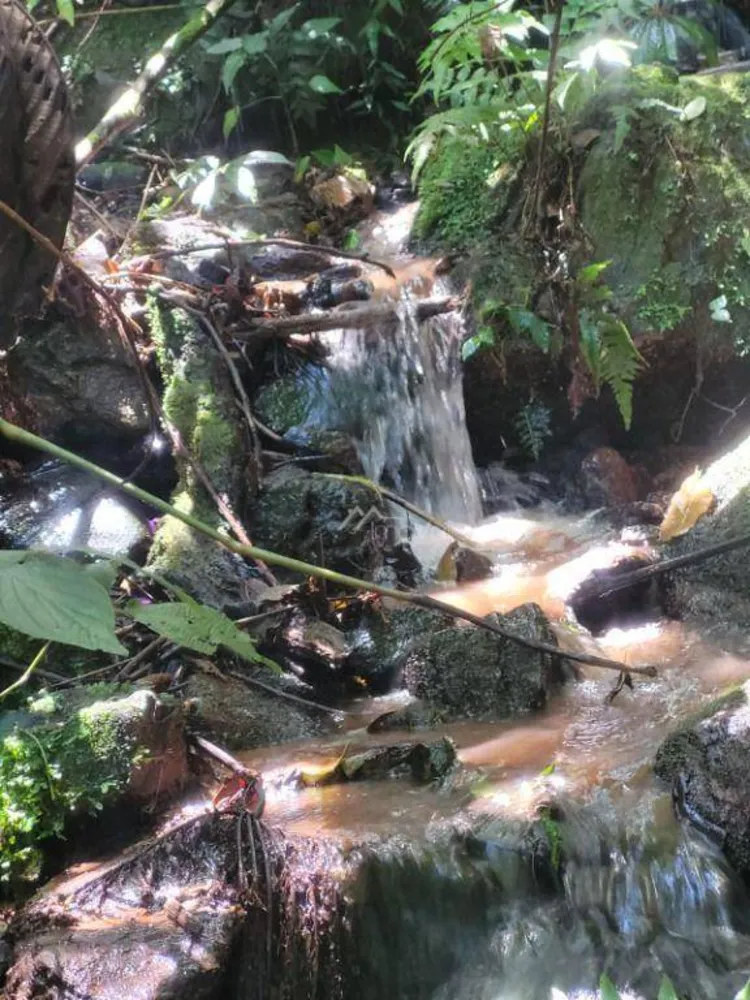 Fazenda, 26 hectares - Foto 4