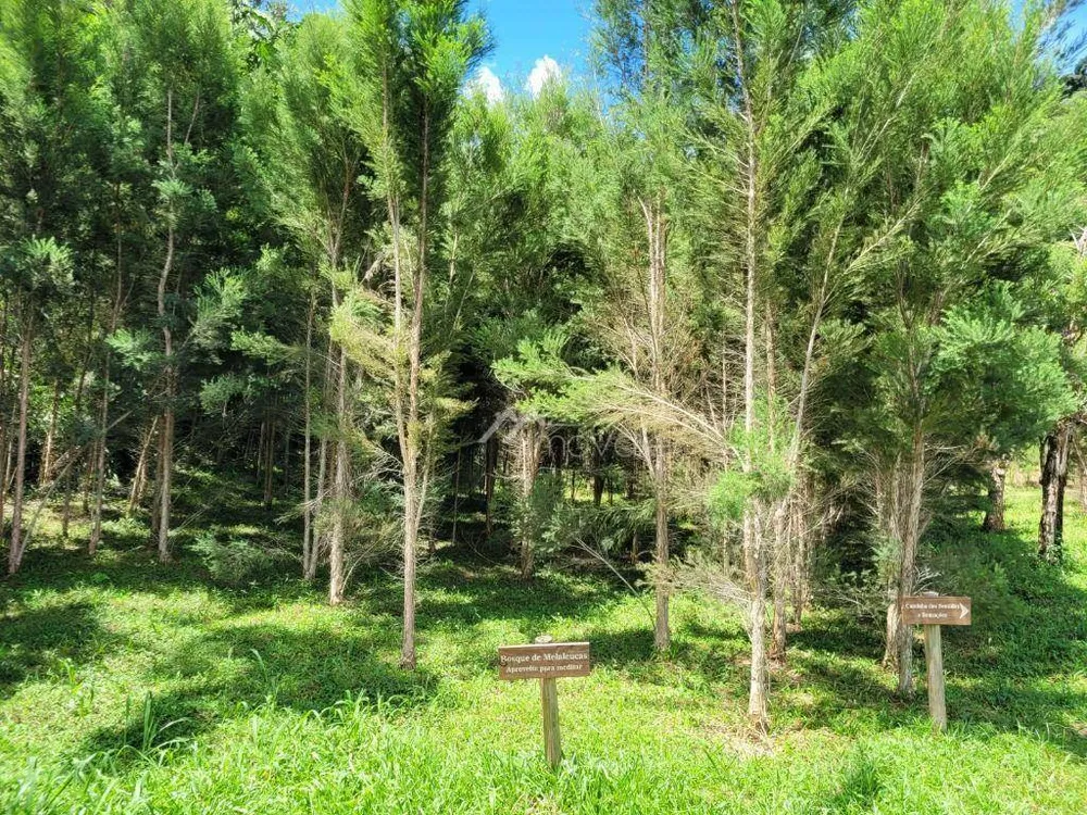 Fazenda, 26 hectares - Foto 2