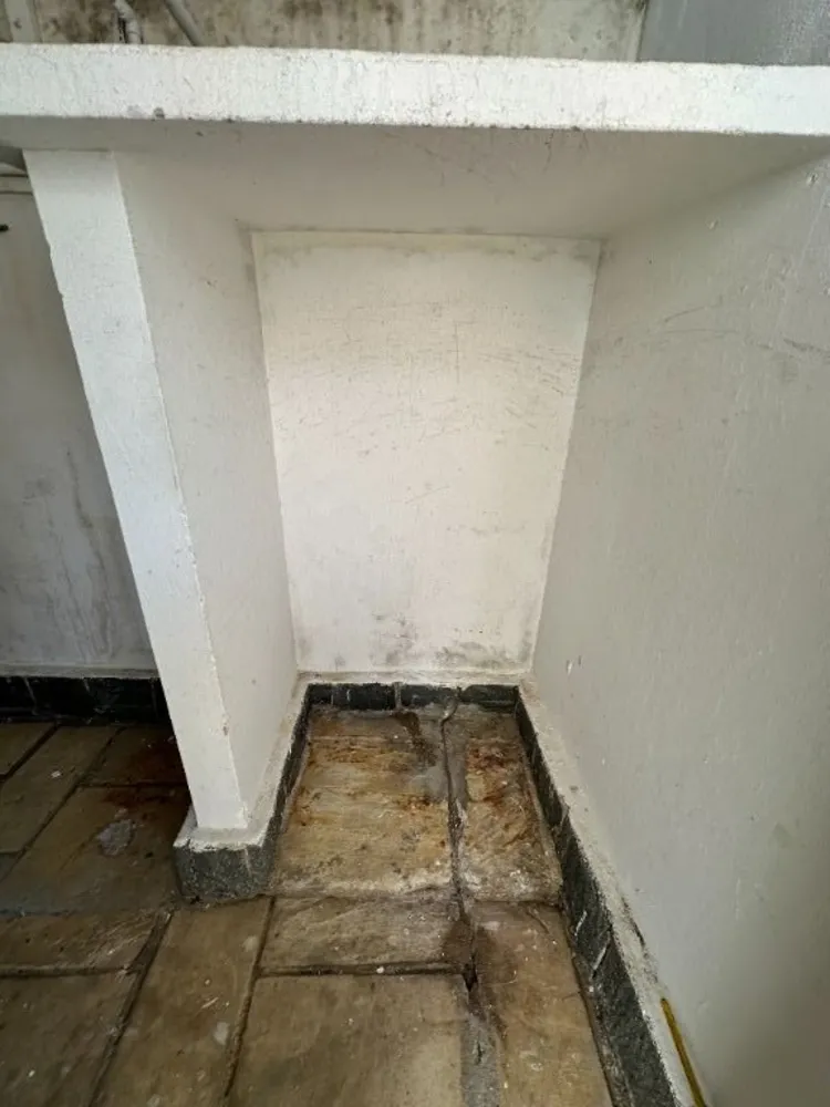Casa, 4 quartos, 365 m² - Foto 1