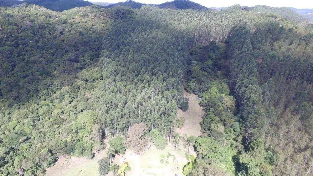 Sítio, 6 quartos, 18 hectares - Foto 13