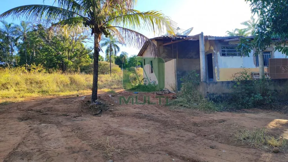 Terreno à venda com 1 quarto, 1000m² - Foto 3