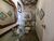Apartamento, 5 quartos, 280 m² - Foto 20