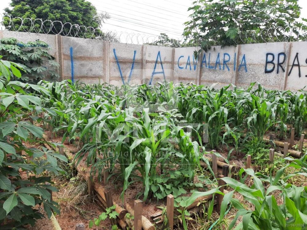 Chácara à venda com 1 quarto, 165m² - Foto 3