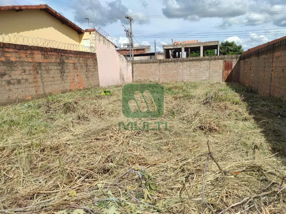 Terreno à venda com 1 quarto, 352m² - Foto 8