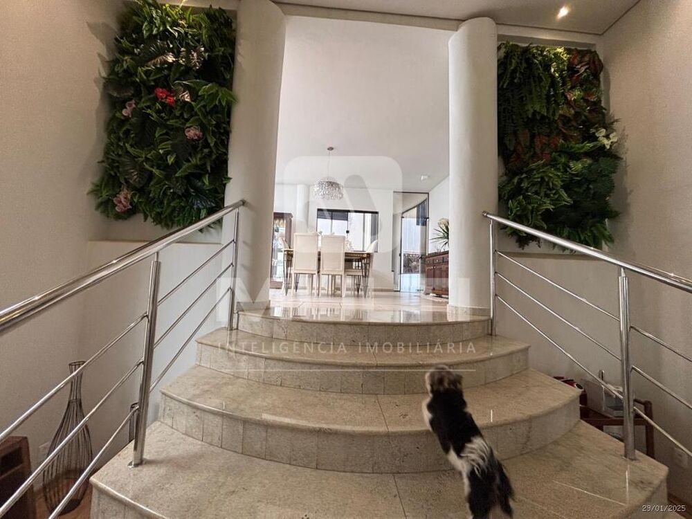 Casa, 3 quartos, 368 m² - Foto 18