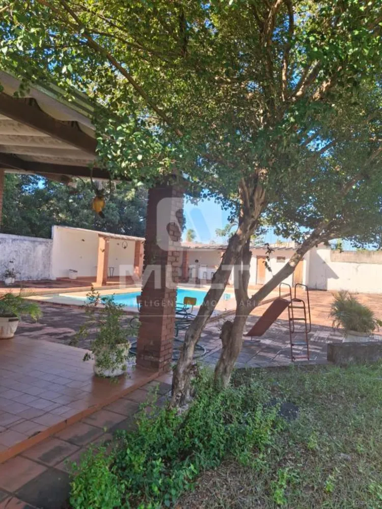 Casa, 3 quartos, 485 m² - Foto 4