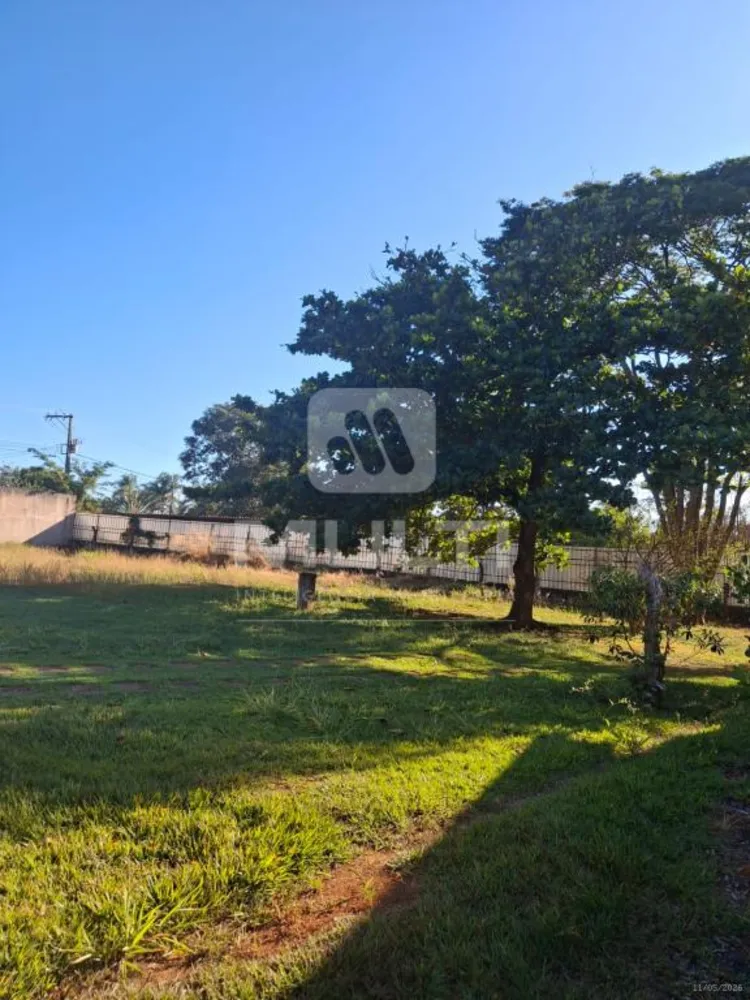 Casa, 3 quartos, 485 m² - Foto 9