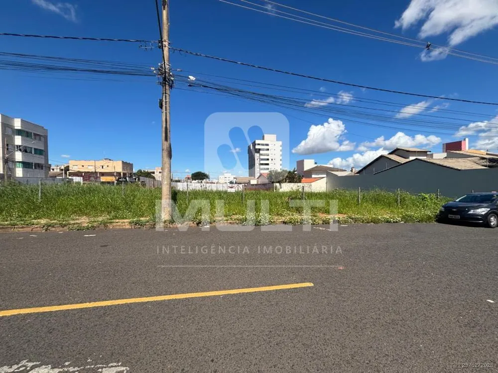 Casa, 4 quartos, 220 m² - Foto 6