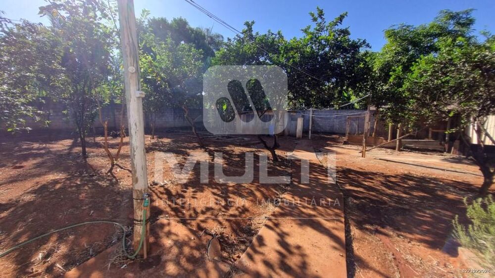 Chácara, 3 quartos - Foto 1