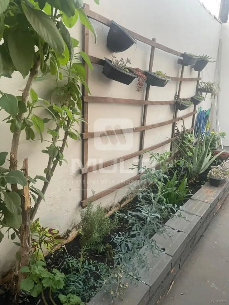 Casa, 6 quartos, 221 m² - Foto 12
