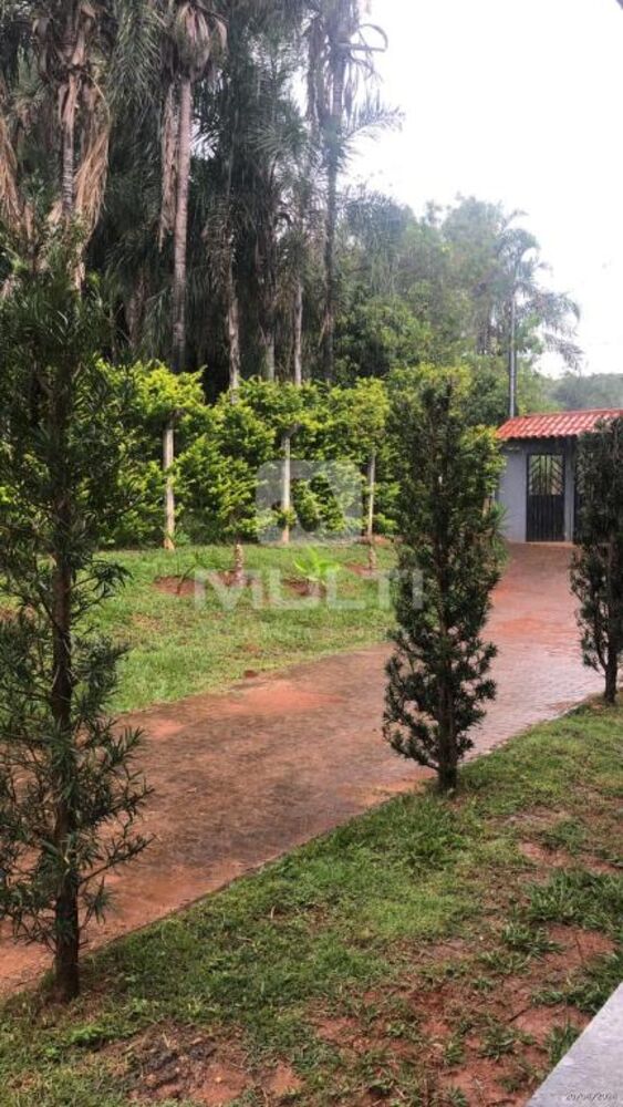 Chácara, 3 quartos - Foto 14