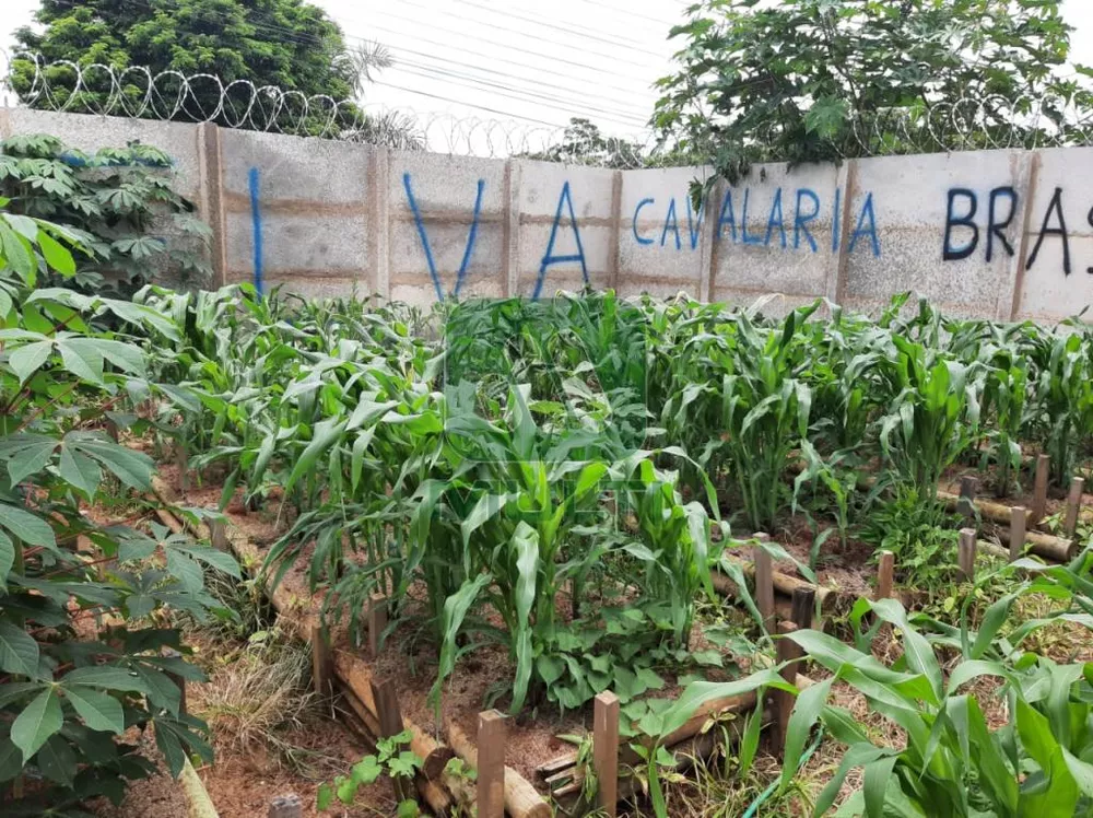 Fazenda à venda com 1 quarto, 165m² - Foto 3