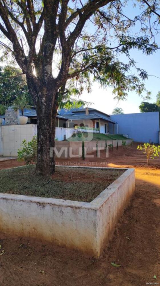 Chácara, 4 quartos - Foto 7