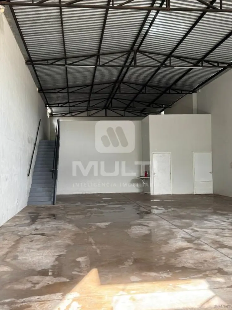 Casa, 1 quarto, 260 m² - Foto 3