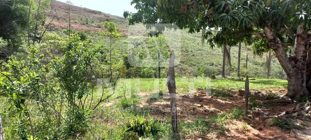 Casa, 3 quartos, 340 m² - Foto 9