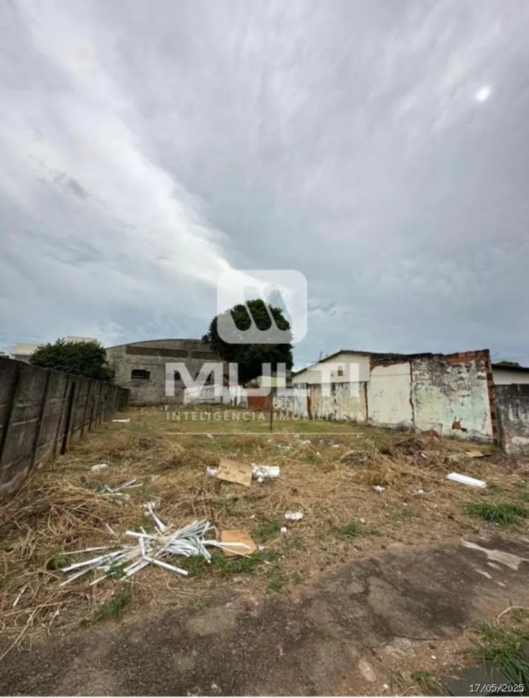 Casa, 1 quarto, 337 m² - Foto 3