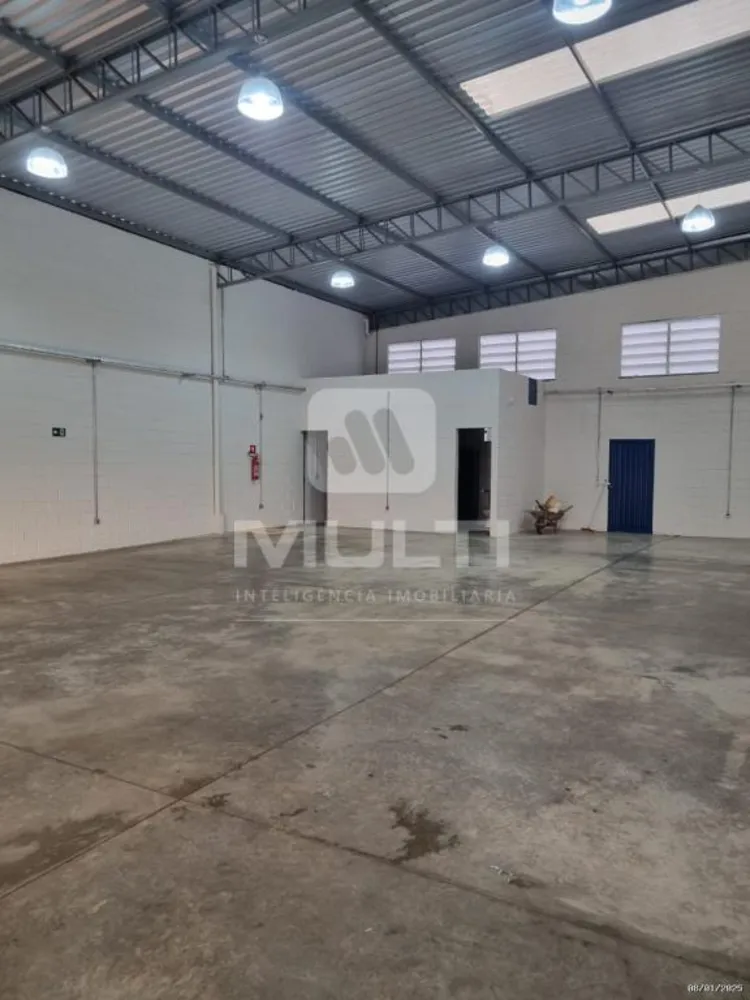 Casa, 1 quarto, 278 m² - Foto 5