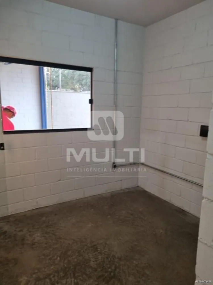 Casa, 1 quarto, 278 m² - Foto 3