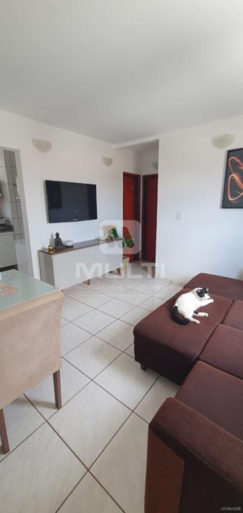 Apartamento, 2 quartos, 47 m² - Foto 16