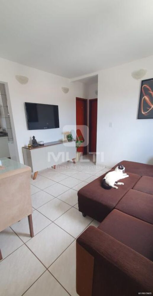 Apartamento, 2 quartos, 47 m² - Foto 20