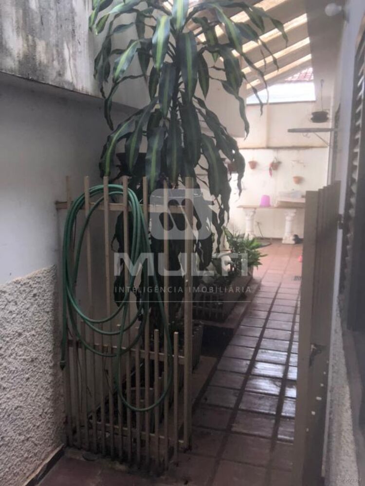 Casa, 3 quartos, 411 m² - Foto 29