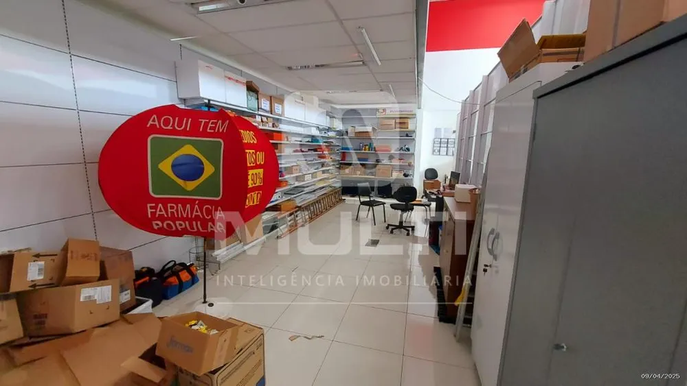Casa, 1 quarto, 250 m² - Foto 6