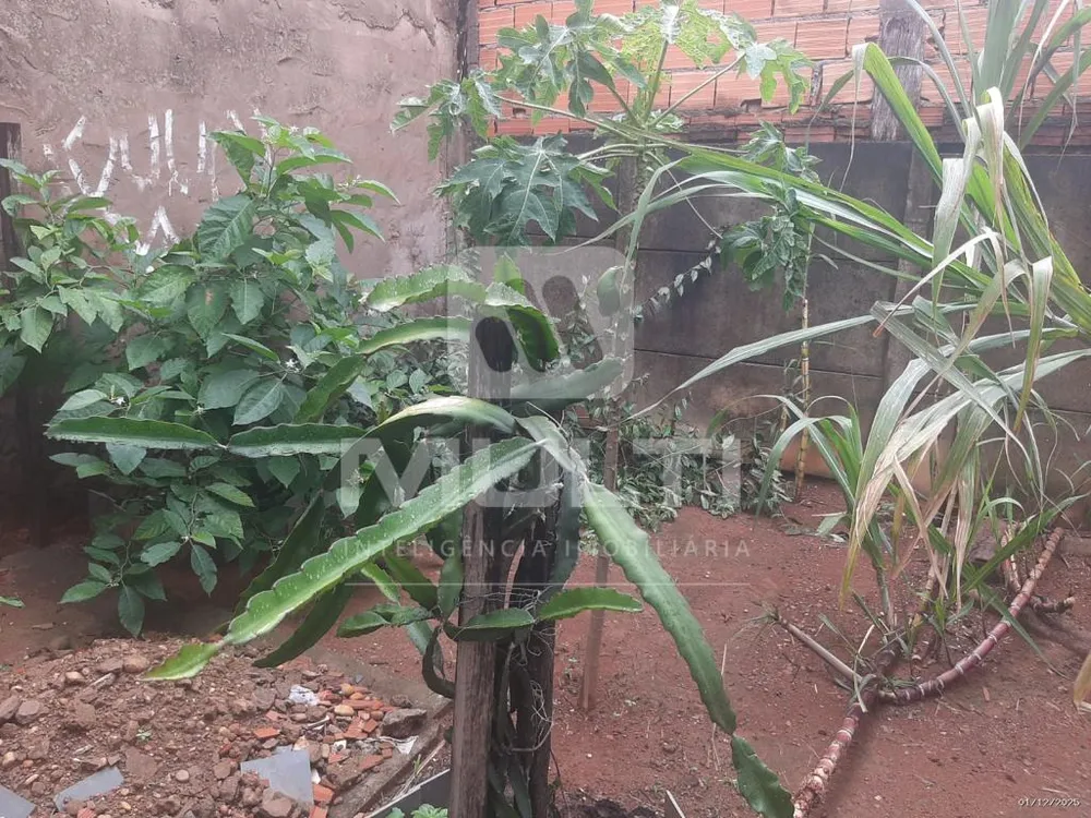 Casa, 3 quartos, 150 m² - Foto 5