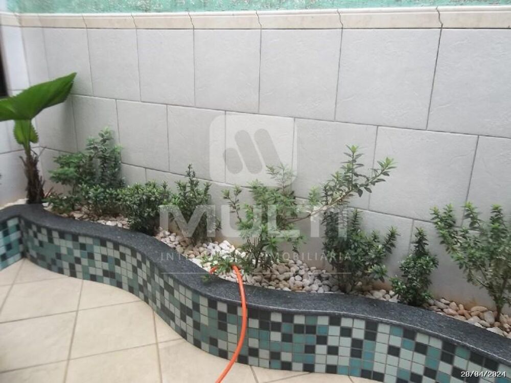 Casa, 4 quartos, 438 m² - Foto 14