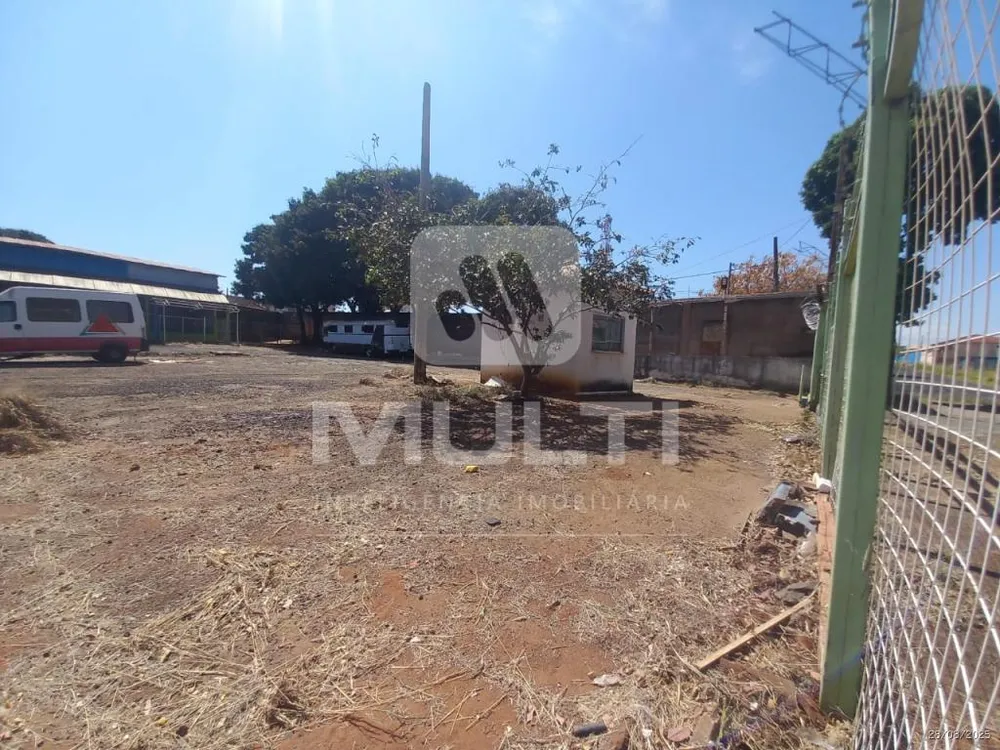 Casa, 1 quarto, 310 m² - Foto 5