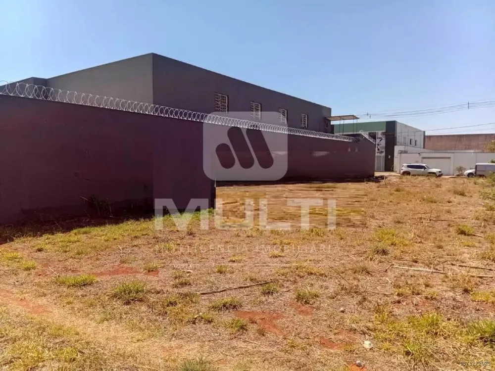 Terreno, 100 m² - Foto 4