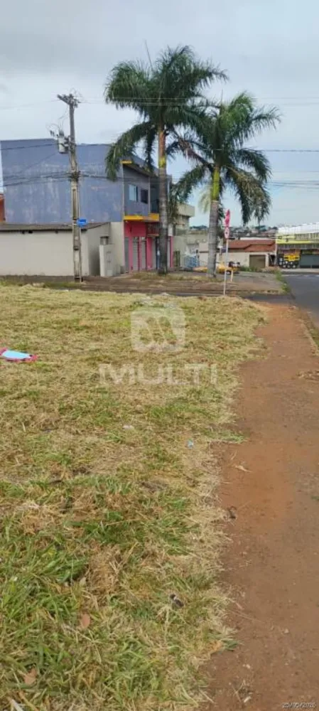 Loteamento e Condomínio - Foto 6